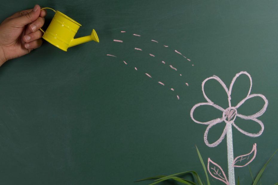 Growth mindset untuk pengembangan diri dan kesuksesan